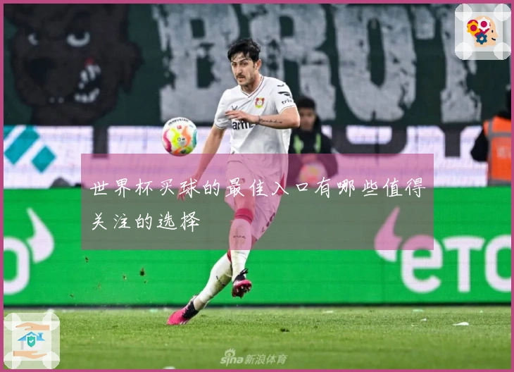 世界杯买球的最佳入口有哪些值得关注的选择