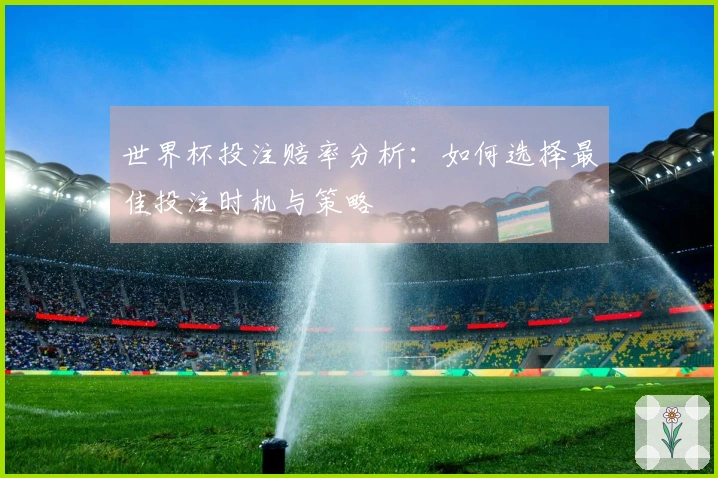 世界杯投注赔率分析：如何选择最佳投注时机与策略