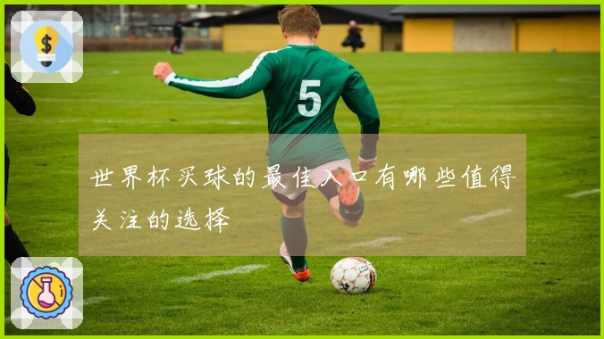 世界杯买球的最佳入口有哪些值得关注的选择